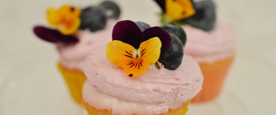 mini cupcake met frambozen crème en bosbes